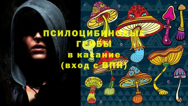ПСИЛОЦИБИНОВЫЕ ГРИБЫ Алексеевка