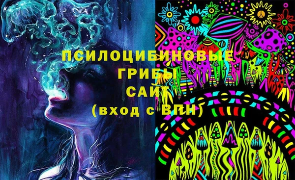 гидропоника Абаза