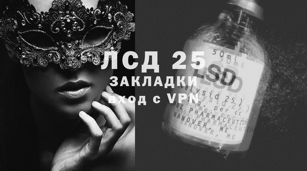 стафф Алексин