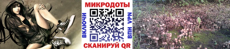 Галлюциногенные грибы прущие грибы  Среднеколымск 